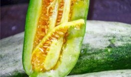 吃瓜视频的网红,揭秘吃瓜视频网红的爆红之路