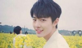 娱乐圈王源爆料吃瓜事件,娱乐圈吃瓜事件大揭秘